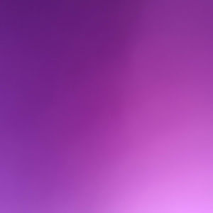 Meet your Posher, Daisy